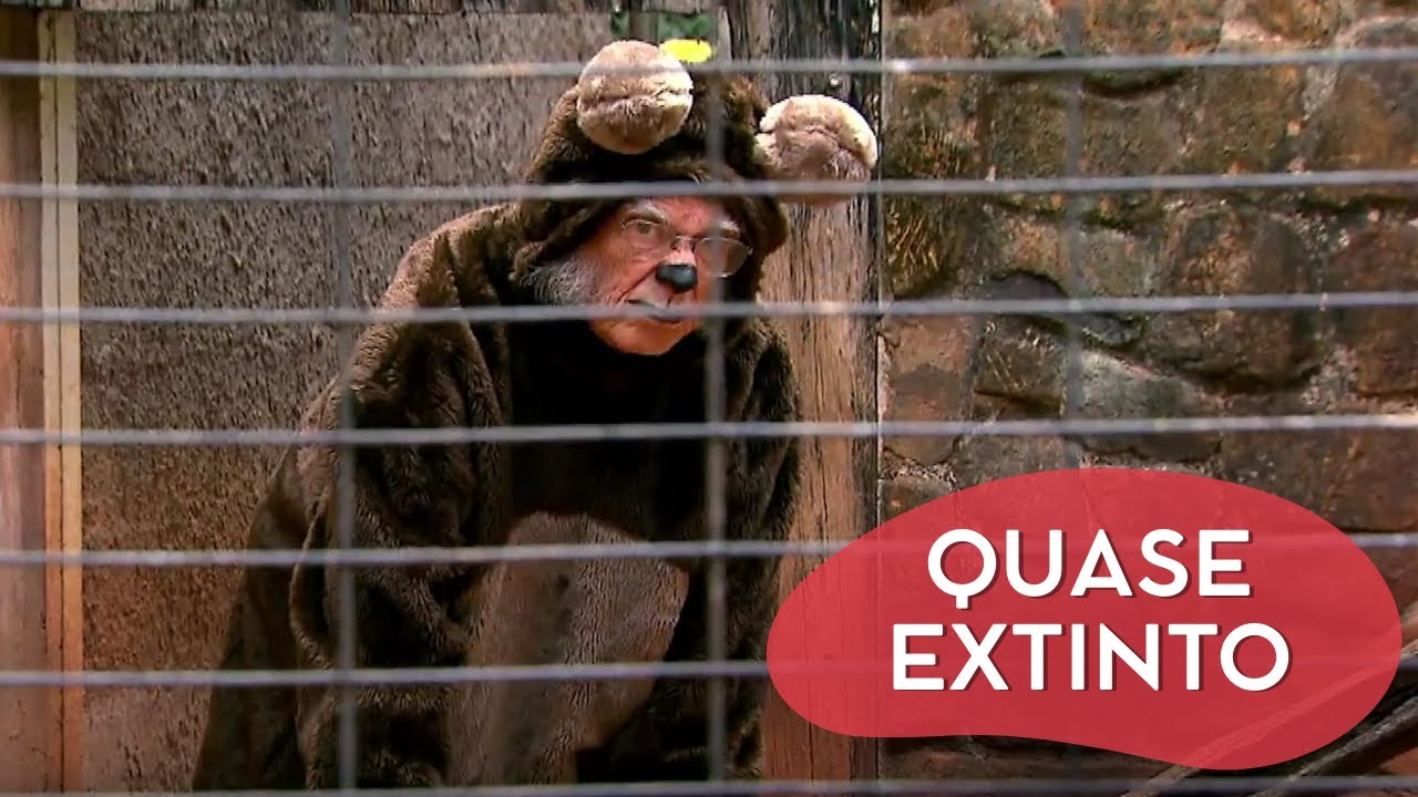 ESSE ANIMAL ESTÁ EM EXTINÇÃO NO BRASIL | CÂMERAS ESCONDIDAS