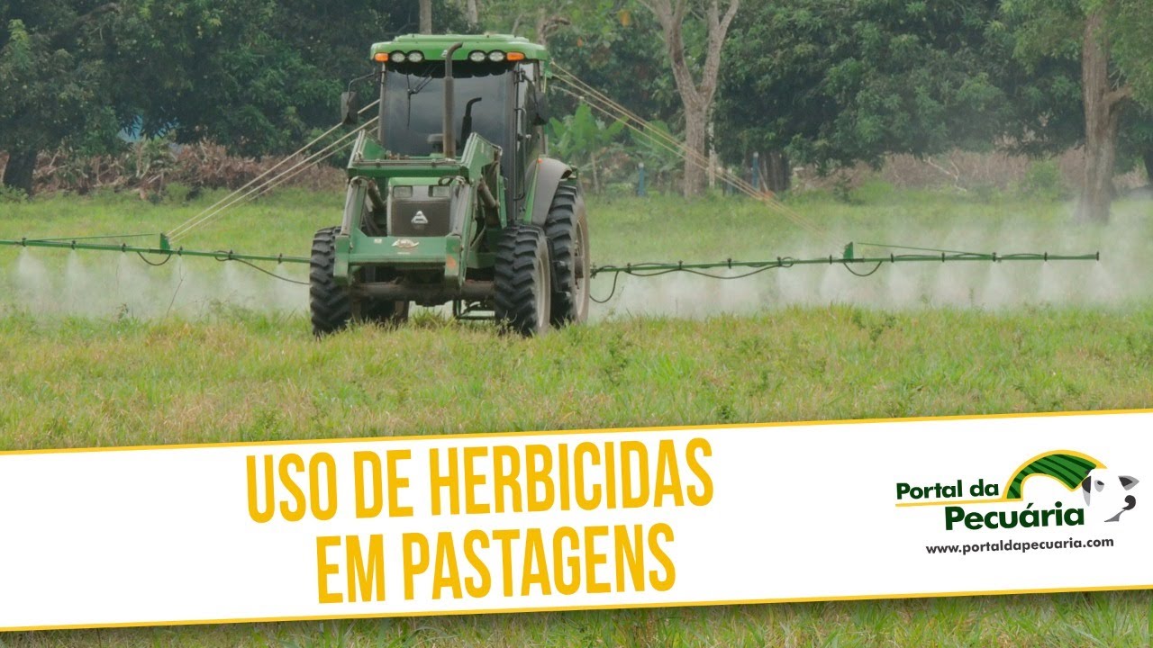 Uso de herbicidas em pastagens.