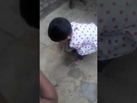 Arsha playing with cat .