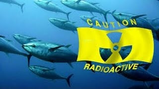 All Fish from Pacific Tested Positive for Fukushima.