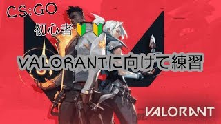 CSGO練習会　SK氏とWingman