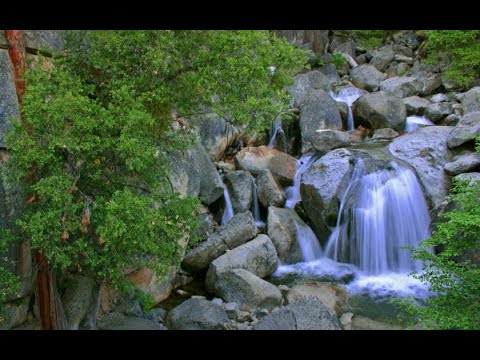 4K HDR Babbling Brook / Trickling Forest Creek   Water Sounds   Relaxing Nature Video/