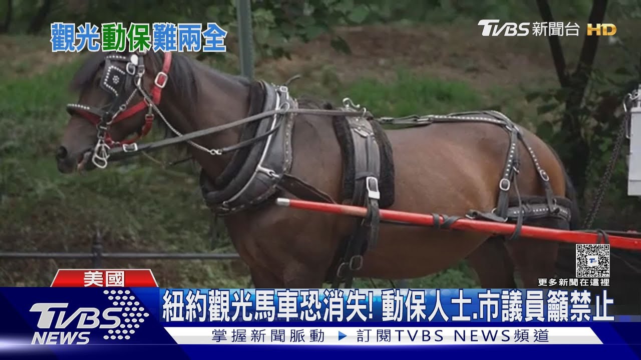 紐約150年傳統將消失?議員籲禁觀光馬車 馬匹過勞脅用路人安全