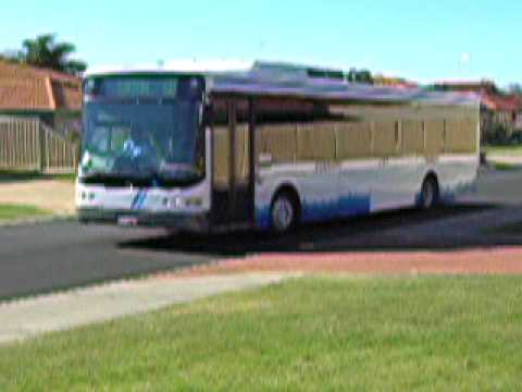 bunbury city transit bus