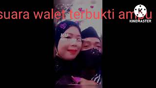 Download lagu sp lintas batas mp3