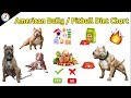 American Bully Food Chart Free Download Youtube Audio Mp3 and Mp4