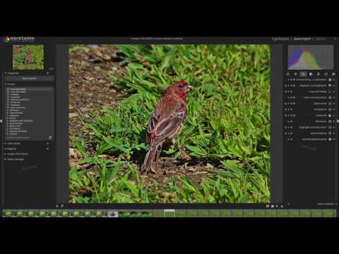 Entering a custom crop ratio in darktable.