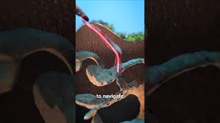 Download lagu How An Anteater's Tongue Works 🤔 mp3