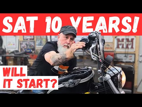 Bringing a Sportster Back to Life After 10 Years - Full Revival & First Ride