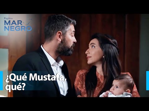 ¡Una interrupción justo a tiempo! - Mar Negro Capítulo 156 | Fugitiva