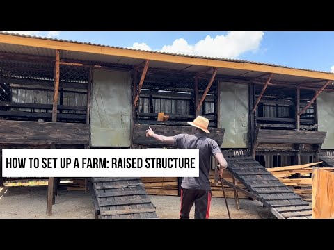 How to set up a Goat /Sheep Farm in 3/4 Acre: Construction of a Raised House & Layout