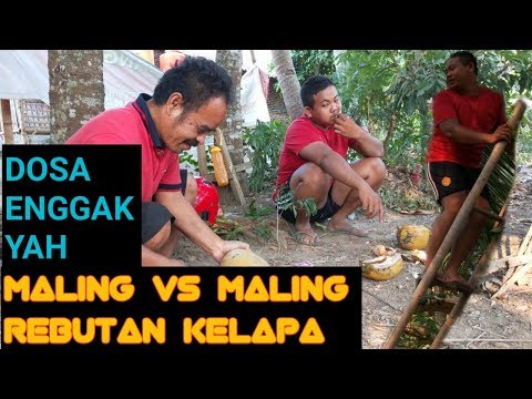 film-komedi-lucu-wong-serang-jaseng-jawa-serang-sama-sama-maling-rebutan-kelapa-part-1