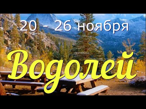 ВОДОЛЕЙ ♒️с 20 по 26 ноября.