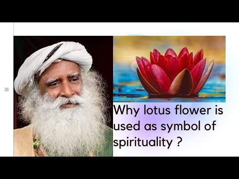 Sadhguru JV Why lotus flower is used as symbol of spirituality ?