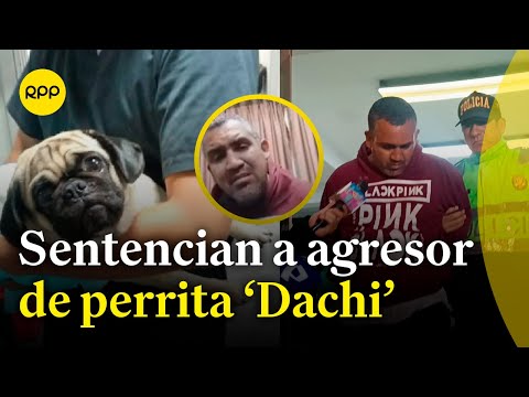 🔴LO ÚLTIMO: Sentencian a sujeto que agredió a perrita 'Dachi'
