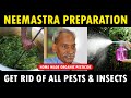 Download Neemastra Preparation Subhash Palekar How To Make Organic Pesticide Insecticide At Home Mp3 Song