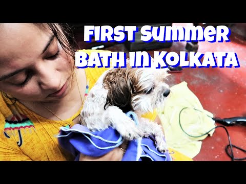 First Summer Bath in Kolkata