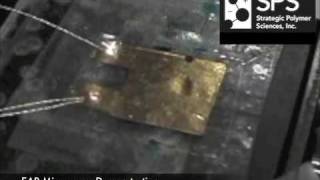 Electro-Active Polymer (EAP) Pump Demo