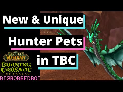 Rare, Unique and New Hunter Pets in the Burning Crusade | A Hunter's Guide to WoW TBC Classic