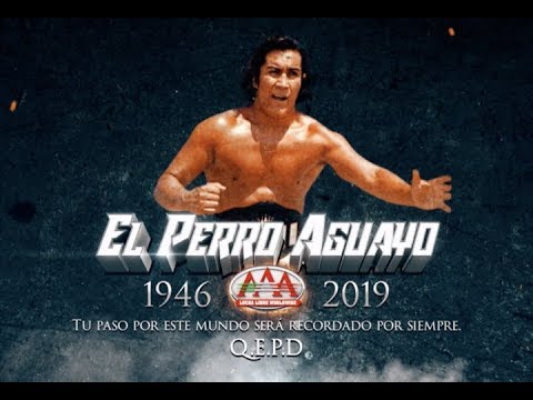Lucha Legend Perro Aguayo Sr. Passes Away