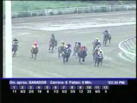 Resumen Domingo, 20 de Noviembre de 2011 - La Rinconada