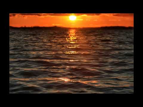 Kardiofonia - To były czasy prod. Udar (2010)