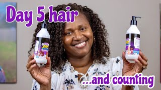 Flat Twistout on Fine Natural Hair | HAIRNIMATION ZAM collection