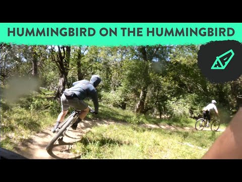Why I Ride: Hardtails on EPIC Trails With the Neuhaus Metalworks Crew. Hummingbird on Hummingbird