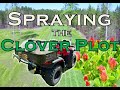 Will Glyphosate Kill a Clover Plot? Let's find out! | Spraying a Spring Clover Plot