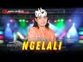 Karaoke Ngelali Demy Official Video Karaoke ANEKA SAFARI