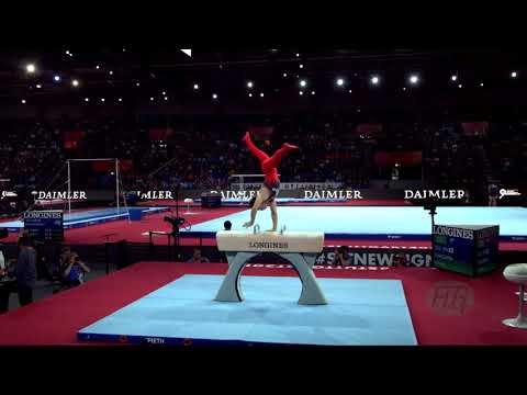 TANIGAWA Kakeru (JPN) - 2019 Artistic Worlds, Stuttgart (GER) - Qualifications Pommel Horse