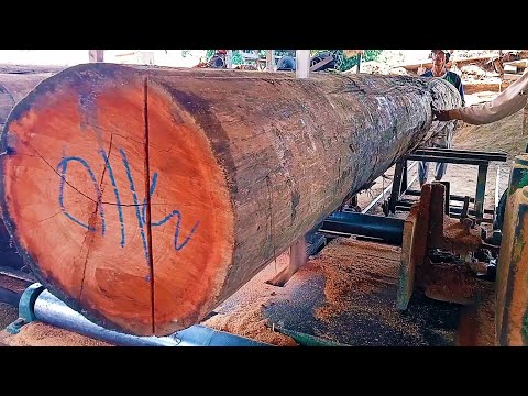 , title : 'proses penggergajian kayu Meranti merah#woodworking'