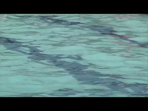 NYC Lifeguard Shortage