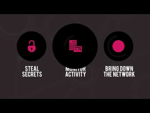 TAVC: CheckPoint 300