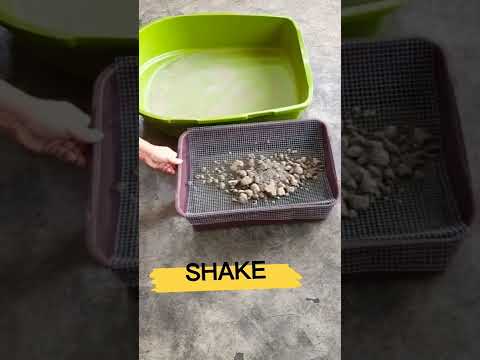 How to Clean Cat Litter box #short
