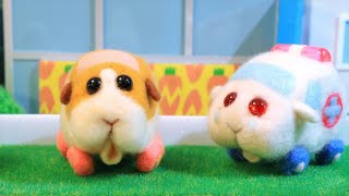 [情報] 天竺鼠車車馬拉松