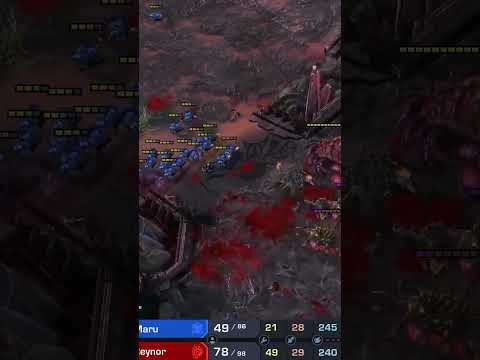 Maru's impeccable micro vs Reynor's perfect hold in StarCraft 2