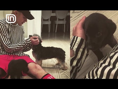 Life is Better with Friends 22022017 - Kafshet e vipave boterore