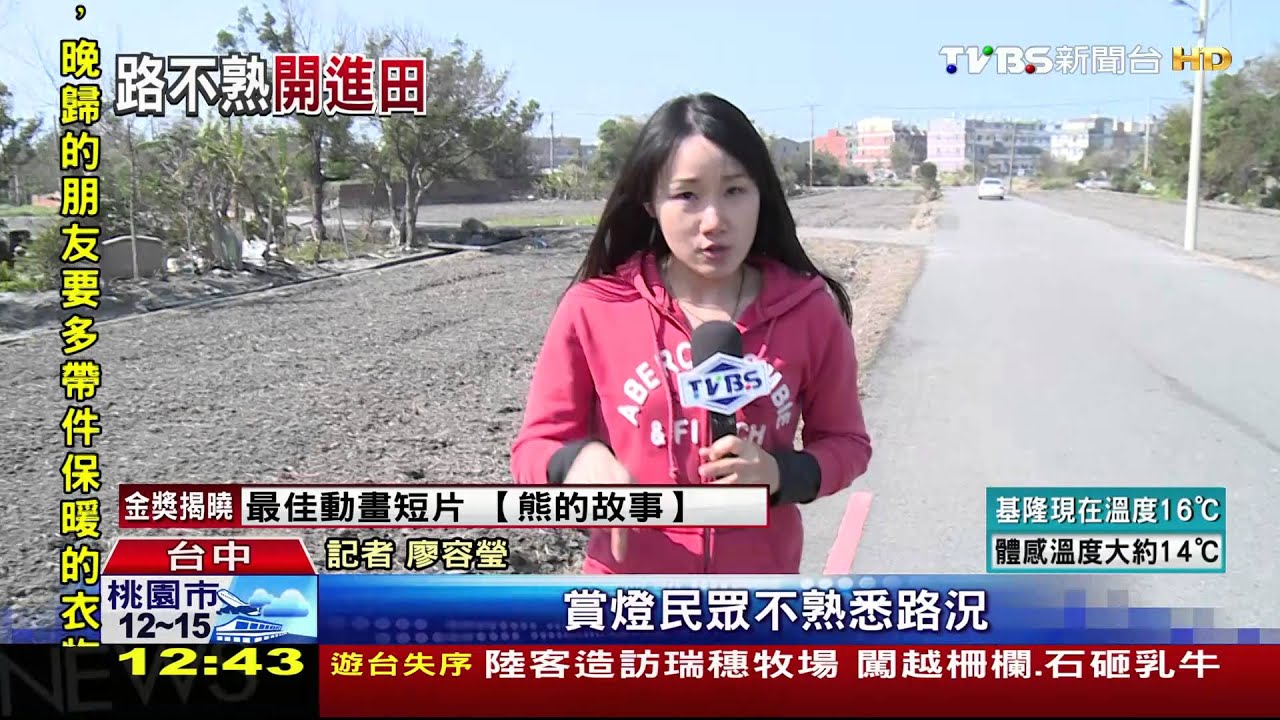 賞燈路邊停車　沒注意！開下落差50cm田裡