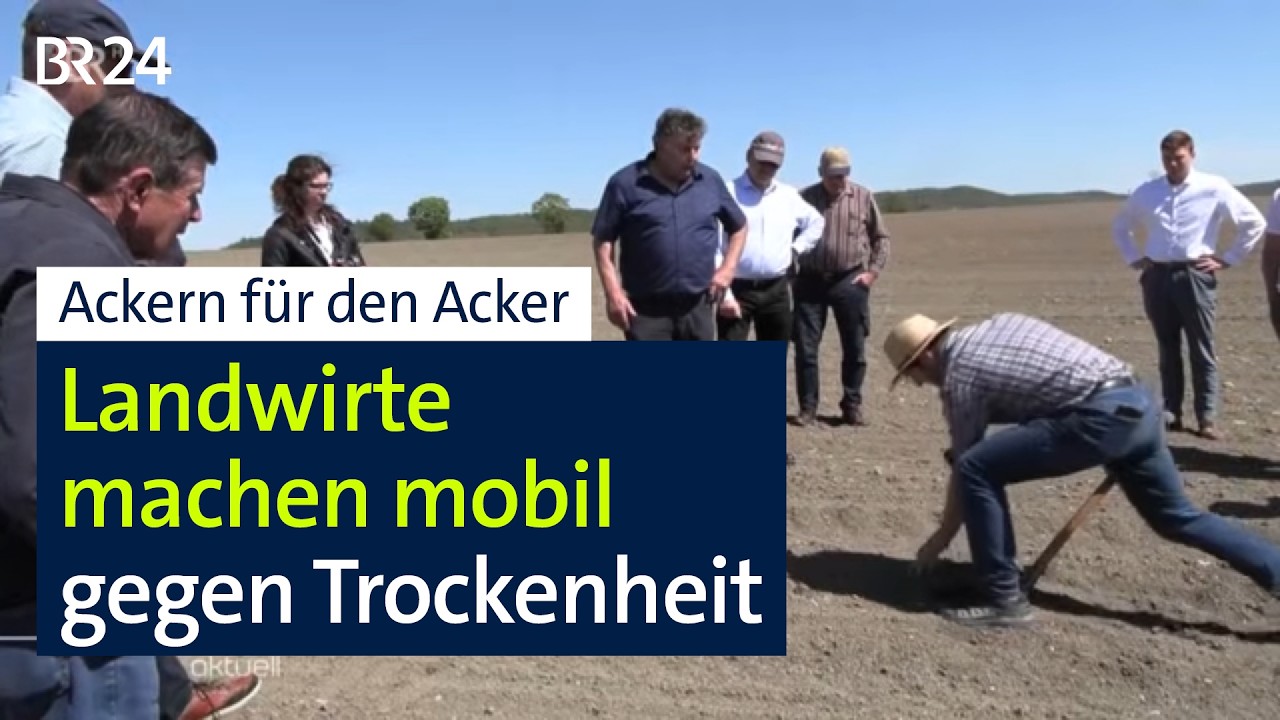 Acker zu trocken: Landwirte gründen Bündnis für klimafeste Flächen-Nutzung | BR24
