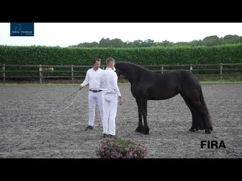 Loatiekeuring Stal Louwrens Mellema 6-7-2020