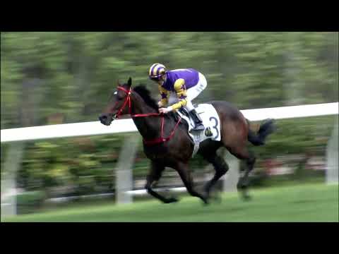 6/2/2022 (399) Lightning Storm - Z Purton