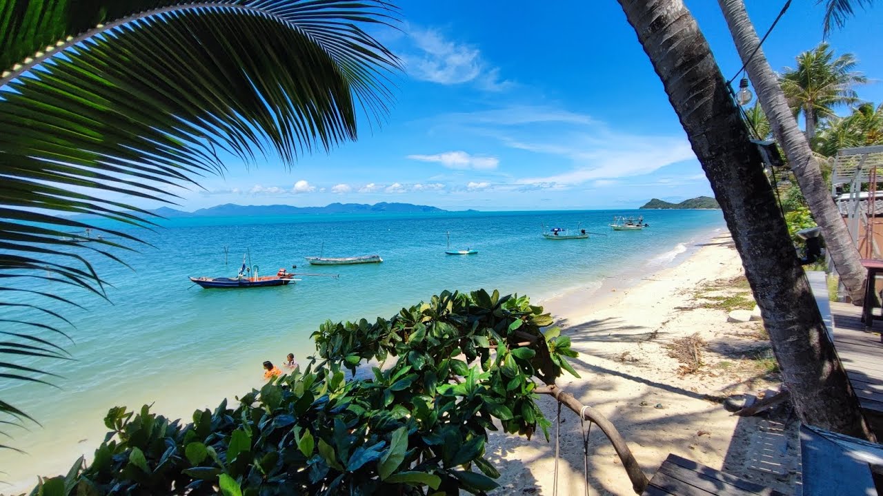 Embark on an invigorating walking tour of the enchanting Bang Po Beach.