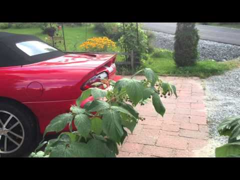 Home in Mont-Tremblant