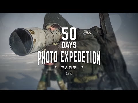 50 DAYS PHOTO EXPEDITION 1:4 - White wolves on Ellesmere Island, Canada