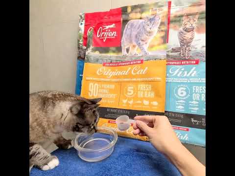 New Orijen Original Cat Food Recipe 90% Premium Animal Ingredients Cat & Kitten by Champion Petfoods