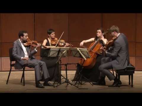 Beethoven String Quartet Op. 95 in F Minor, Serioso - Ariel Quartet (full)