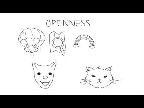 貓人和狗人的5個區別 (5 Differences Between Cat and Dog People)