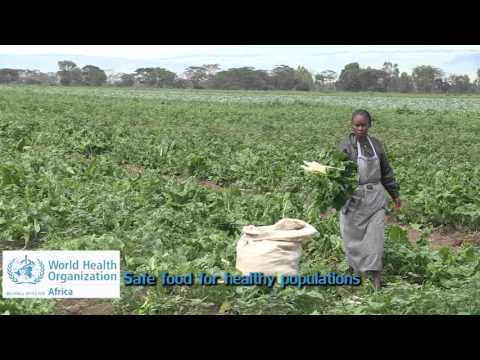 Safer food for all regulators: the burden of foodborne diseases