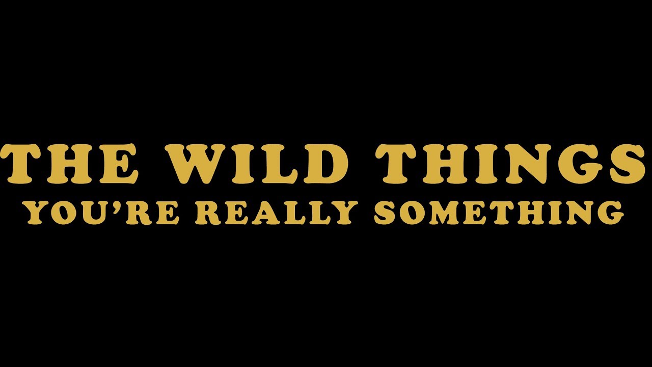The Wild Things - You're Really Something (Official Video) - YouTube